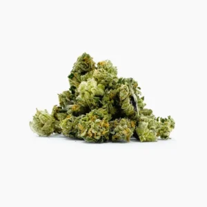 Minibud Premium - 30% THCX