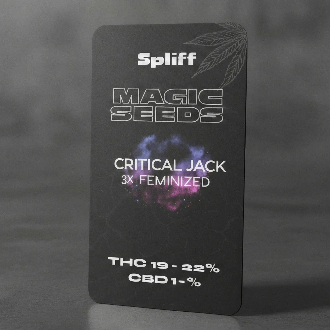 Critical Jack