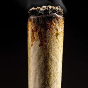 Pre-Roll CBD - Vrac - Gelato
